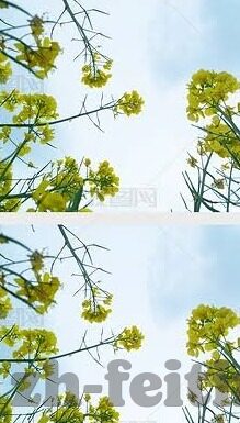 写足球比分-笔尖上的绿茵战场，解码足球比分的艺术与科学